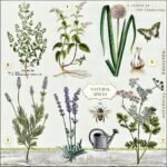 Decoupage Paper Napkins - Herb Garden