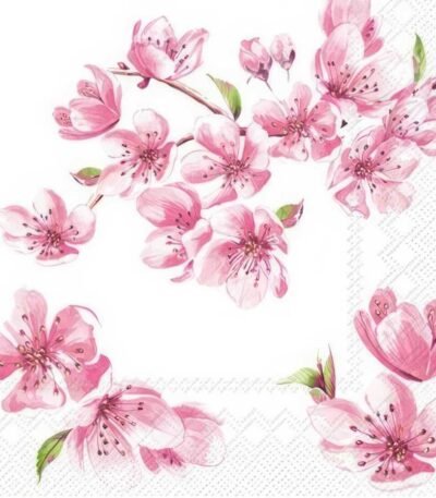 Decoupage Paper Napkins - Sakura Rose