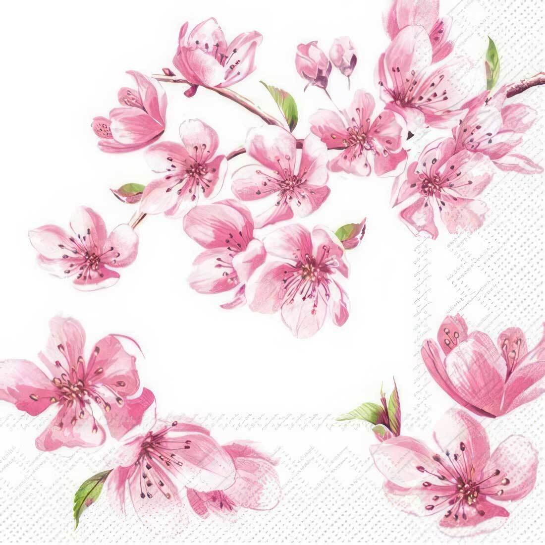 Decoupage Paper Napkins - Sakura Rose - The Tissue Store Decoupage Paper Napkins - Sakura Rose