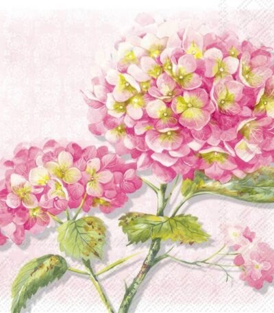 Decoupage Paper Napkins - Lorea Rose