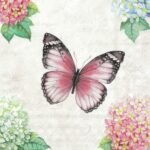 Decoupage Paper Napkins - Butterfly Poem