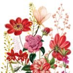 Decoupage Paper Napkins - Floria
