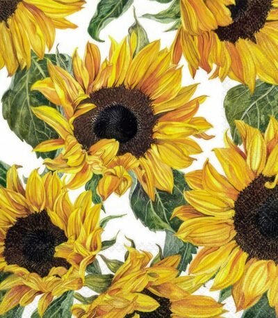 Decoupage Paper Napkins - Sunflowers Blossoming