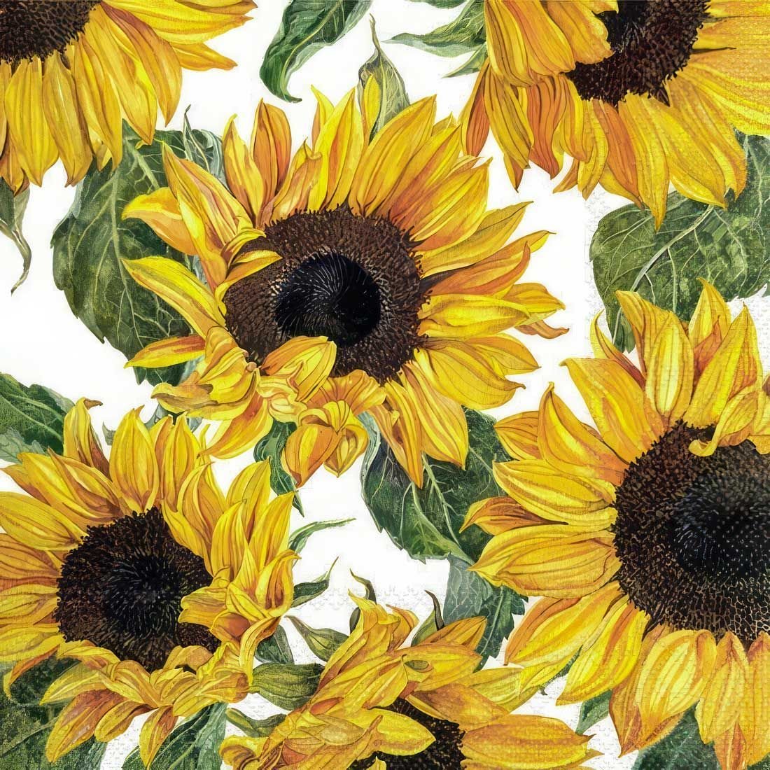 Decoupage Paper Napkins - Sunflowers Blossoming - The Tissue Store Decoupage Paper Napkins - Sunflowers Blossoming