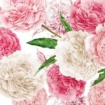 Decoupage Paper Napkins - Peonies