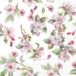 Decoupage Paper Napkins - Spring Blossom White