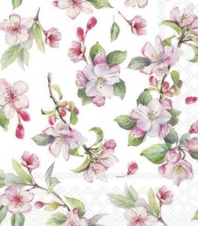 Decoupage Paper Napkins - Spring Blossom White