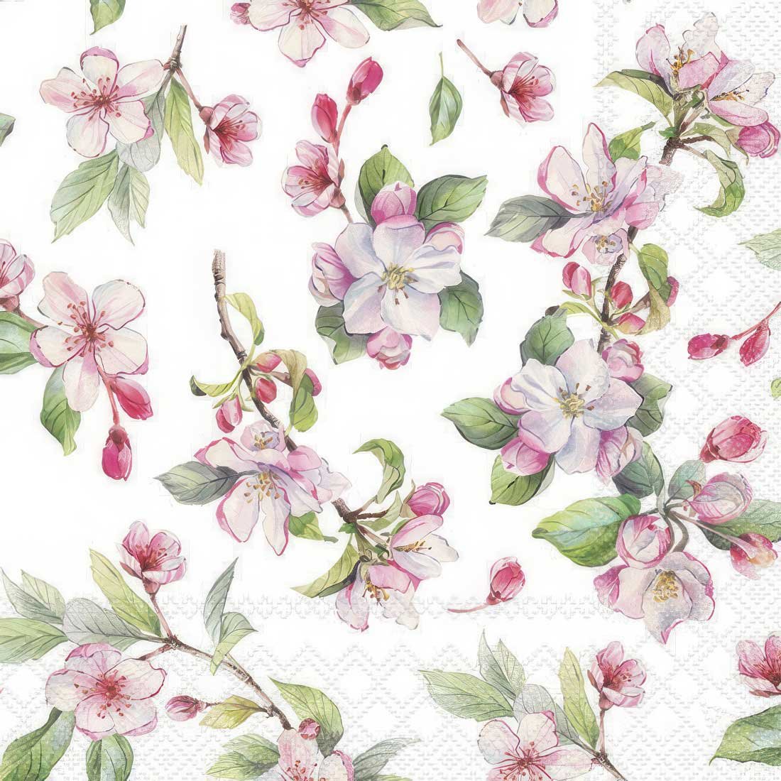 Decoupage Paper Napkins - Spring Blossom White - The Tissue Store Decoupage Paper Napkins - Spring Blossom White