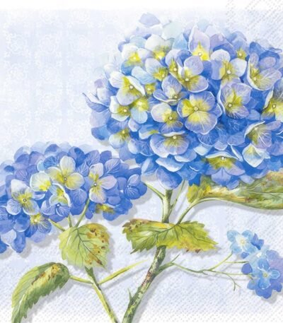 Decoupage Paper Napkins - Lorea Blue