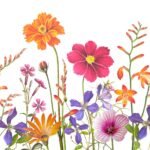 Decoupage Paper Napkins - Botanic Garden