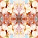 Decoupage Paper Napkins - Painted Blooms