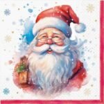 Decoupage Paper Napkins - Portrait of Santa Claus