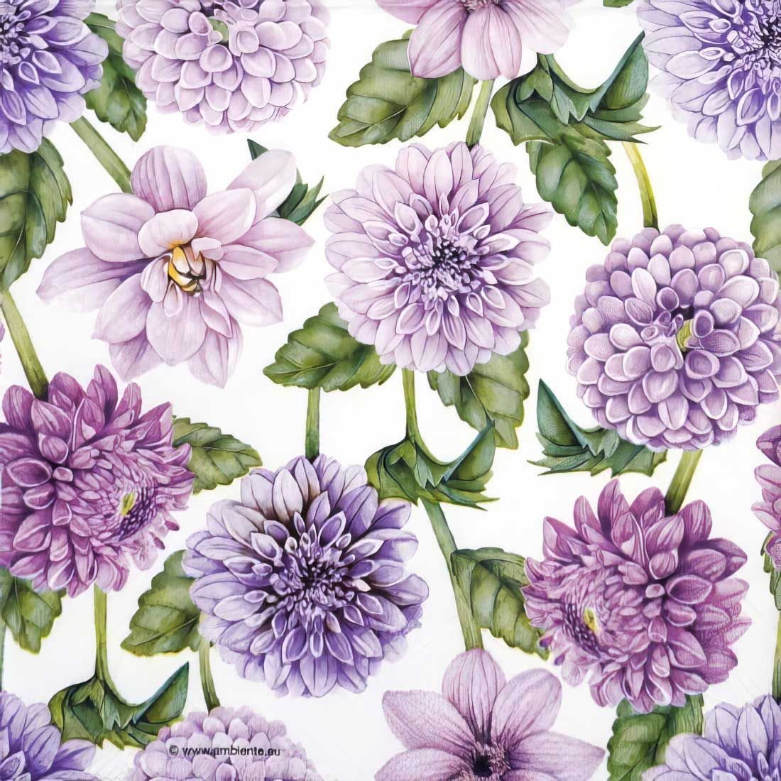 Decoupage Paper Napkins - Dahlias In Bloom - The Tissue Store Decoupage Paper Napkins - Dahlias In Bloom