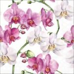 Decoupage Paper Napkins - Elegant Orchids White