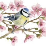 Decoupage Paper Napkins - Oiseau Printemps