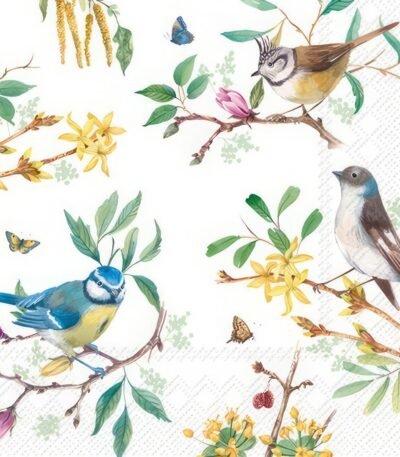 Decoupage Paper Napkins - Spring Story