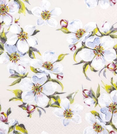 Decoupage Paper Napkins - Spring Bloom Cream