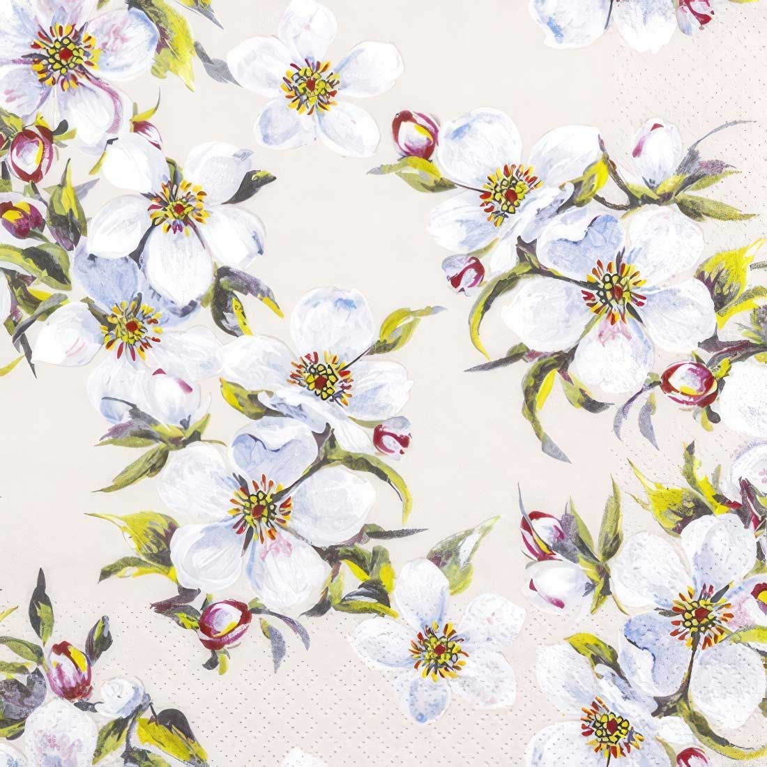 Decoupage Paper Napkins - Spring Bloom Cream - The Tissue Store Decoupage Paper Napkins - Spring Bloom Cream