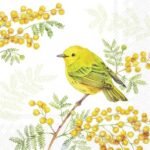 Decoupage Paper Napkins - Joy Of Spring