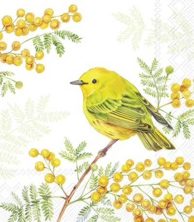 Decoupage Paper Napkins - Joy Of Spring