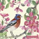 Decoupage Paper Napkins - Blossom Cream