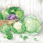 Decoupage Paper Napkins - Cabbage
