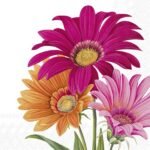 Decoupage Paper Napkins - Joyful Gerbera White