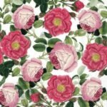 Decoupage Paper Napkins - Rosaline White