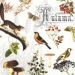 Decoupage Paper Napkins - Autumn Collage