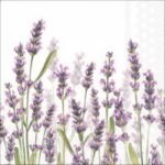 Decoupage Paper Napkins - Lavender Shades White