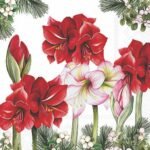 Buy decoupage napkin Blooming amaryllis white