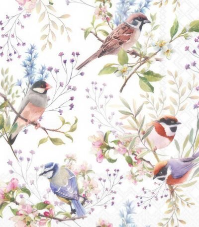 Decoupage paper napkin with busy birds and colorful nature illustration