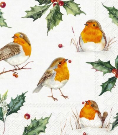 Buy decoupage napkin Lexi and Robin