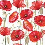 Decoupage Paper Napkins - Poppy All Over White