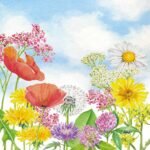 Decoupage Paper Napkins - Summer Day