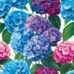 Decoupage Paper Napkins - Hydrangea Bloom