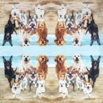 Decoupage Paper Napkins - Release The Hounds - Image 2