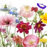 Decoupage Paper Napkins - Wildflower Garden